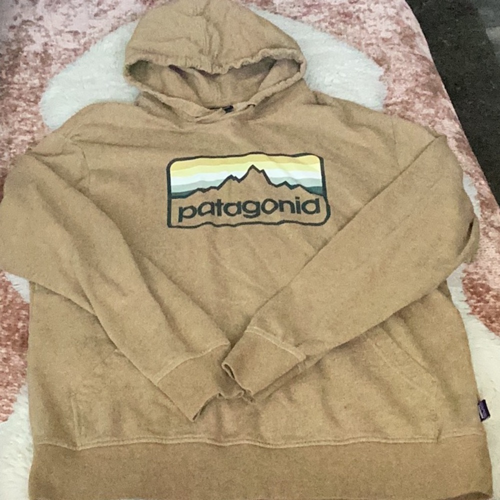 EUC Patagonia Line Logo Badge Hoodie